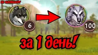 Мой способ быстрой прокачки в Wild Craft, до100 лвл. 3 спосаба