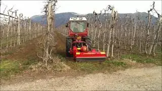 SEPPI M    SMWO flail mulcher   trinciatrice   Schlegelmulcher