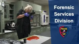 What does the Forensic Services Division do?
