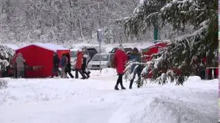 Футаж   Footage free   000140