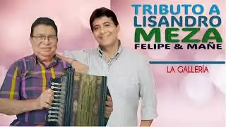 La galler&iacute;a - Felipe Paternina, Ma&ntilde;e Bustillo