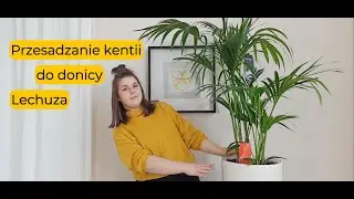 Jak przesadzić palmę kentia do donicy z systemem nawadniającym? Wskazówki krok po kroku