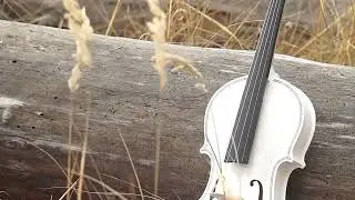 MELODIC MASTERPIECE: Unleashing the Symphony of Classical Violin Music #violinmusic #calmmusic