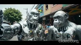 VLOG OF CYBORG COSMIC SILVER BACK AND CHIMPANZEE