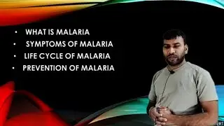 Malaria | symptoms of malaria | life cycle of malaria | prevention of malaria | by Ravendra sir
