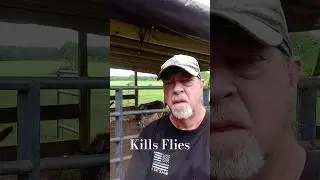 Problem Solved..Kills Flies