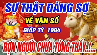 10 Dấu Hiệu Cho thấy Giáp Tý 1984 Tiền Vận Gian Nan Vất Vả Cuối Đời An Nhàn Đầy Phước Lộc