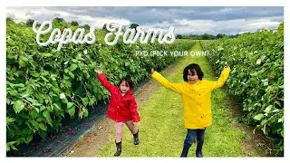Pick Your Own at Copas Farms | Fruit Picking | Sassshai