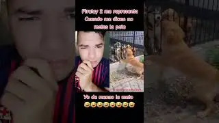 #humor #firulay #perros 🤣🤣🤣🤣🤣🤣🤣🤣