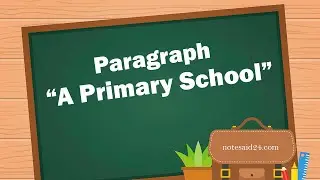 Paragraph On A Primary School | A Primary School | A Primary School Paragraph For All Classes