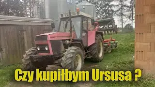 URSUS tani i Polski w&oacute;ł roboczy/ Kula