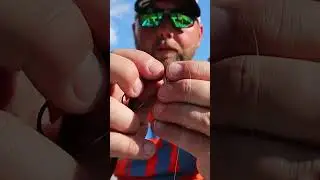 How to rig a Shaky head for bass!
