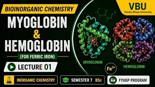 BioInorganic Chemistry | Porphyrin Ring | Myoglobin Hemoglobin | Sem-VII | VBU FYUGP NEP || Notes |