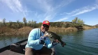 Lake Skinner 4-9-22 (The Tullies)