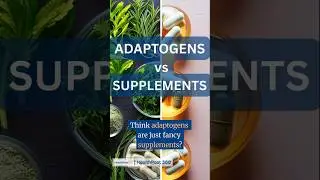 Adaptogens vs. Supplements in 60 Seconds! 🌿💊