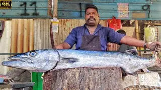 KASIMEDU 🔥 SPEED SELVAM | BIG SIZE BARRACUDA SHEELA FISH CUTTING VIDEO | 4K VIDEO | KM FISH CUTTING