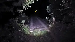 A PONTE ASSOMBRADA FOI DE ARREPIAR
