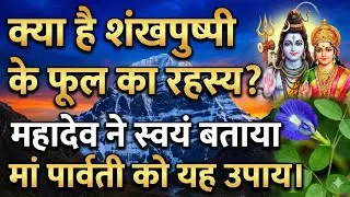 25 December 2025 क्या है शंखपुष्पी के फूल का रहस्य? महादेव ने स्वयं बताया माँ पार्वती को यह उपाय। 