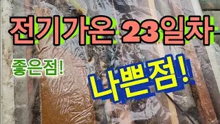 전기가온 23일차 결과보고 합니다 ~