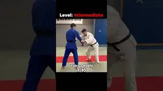 👀I tried every Judo throw from Easy to Impossible