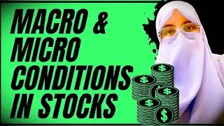 HOW MACRO AND MICRO CONDITION AFFECTS STOCKS? 