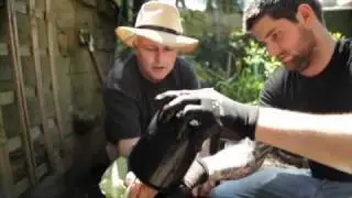 Waste Not TRAILER.mov