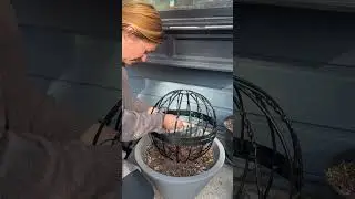DIY Garden Orb using hanging baskets 🪴 #gardendiy #garden #plants