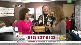 Leyna Nguyen 2012/11/08 KCAL9 HD