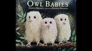 Owl Babies - by Martin Waddell