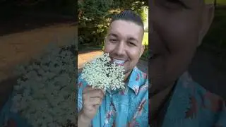 Ce floare este ? 😂  Aboneaza-te #shorts #romania #viral