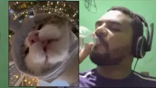 MEMES PARA ASSISTIR ENQUANTO SE HIDRATA (MÓ CALOR)