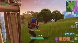 Double Wammy