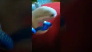 no vayas at tropezar e