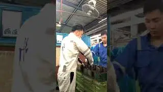Engine Cadet Training (familiarization) SHORT CLIP #cadet #enginecadet #marineengineering