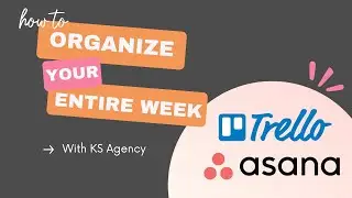The Trello + Asana Board That Will Organize Your Entire Week (Free Template)