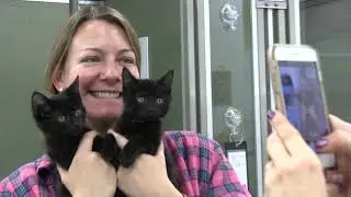 Magic 98.3's Debbie Mazella at Karma Cat & Zen Dog Rescue Society - Episode 5