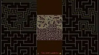 Extra Large type of Game Maze Escape #short #mazeescape