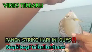 GAK NYANGKA HARI INI PANEN STRIKE GUYS👍😂‼️//@ANGLER fishing story#panenstrike