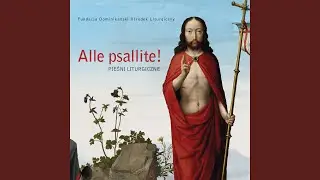 Stała Matka Boleściwa