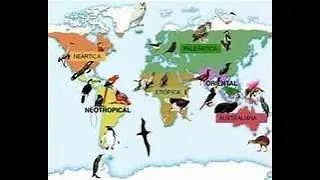 Definici&oacute;n de la Biogeograf&iacute;a y breve historia
