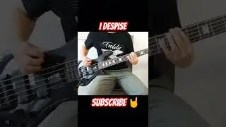 Slipknot - Purity - Bass Cover #slipknot #bass #spectorbass