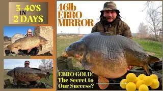 46 lb Ebro Mirror! 3-40's in 2 Days!
