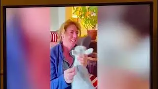 ITV news of Lars the baby reindeer interview 