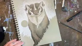 Colored Pencil American Badger | Art Demonstration