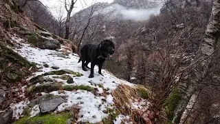 Discovering with Nemo, Switzerland, Rifugio Alpe Repiano