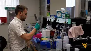 WVU School of Medicine researchers capture an atomic view of synthetic DNA