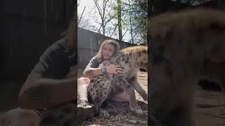 Становится большим, но продолжает расти.