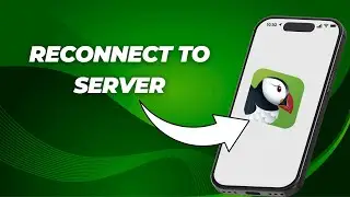 How to Reconnect Puffin Browser to Server (2026) | Step-by-Step Guide