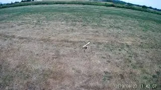 Can't tune tail kick &mdash; Oxy 3 and Spirit FBL