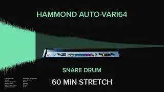 Hammond Auto-Vari64 Snare Drum 1 (1 HOUR)
